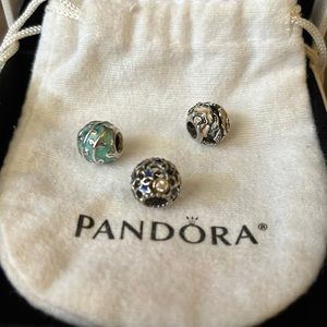 Pandora (retired) charms